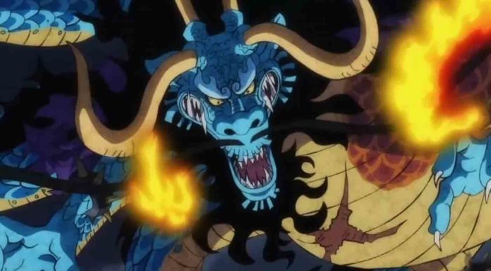 Bukan Kaido, Inilah Pimpinan Beasts Pirates?