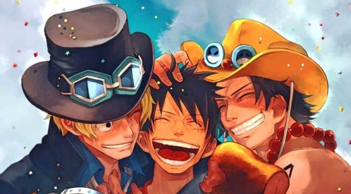 Akan Ada Timeskip Lain di One Piece?