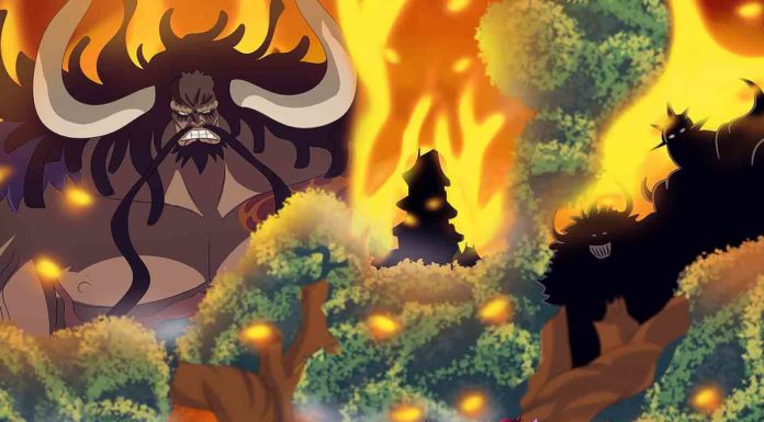 Inikah Sosok Dibalik Bayangan Misterius di Wano?