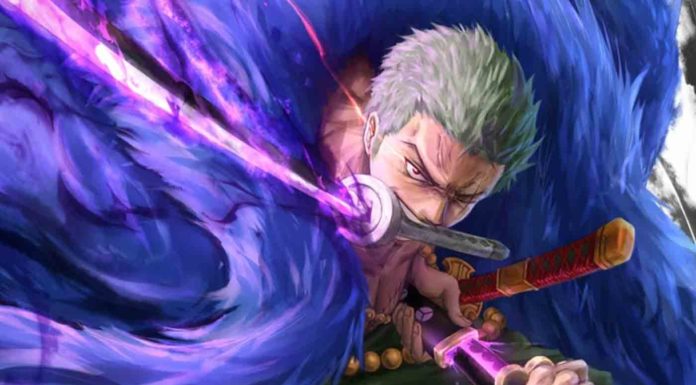 One Piece: Zoro Gunakan Haki Sejak Time Skip?