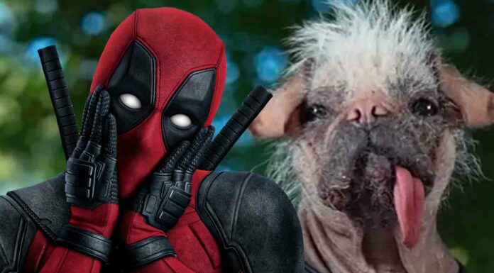 Kenali Dogpool, Deadpool Dari Multiverse Lain!