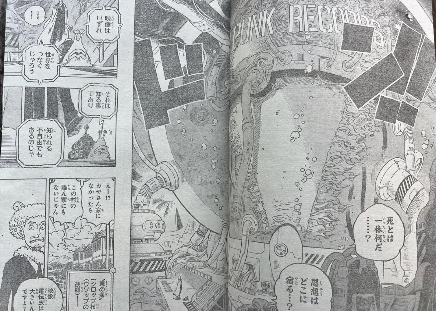 review one piece 1113