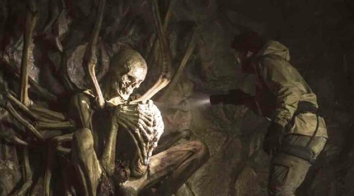 10 Film Horor Terbaik dari 20th Century Studios!