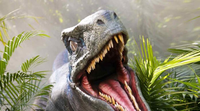 10 Raptor Paling Mematikan di Film Jurassic!